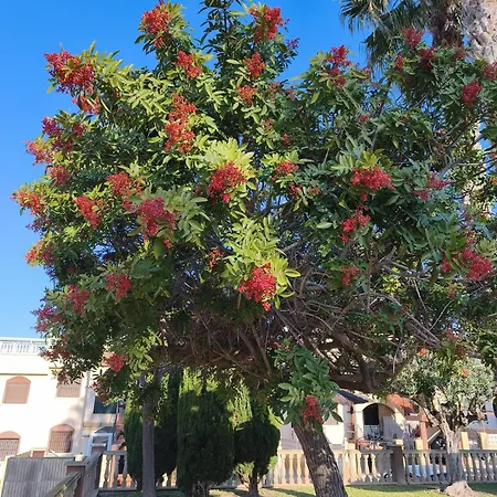 Casa Amigos Appartamento Torrevieja